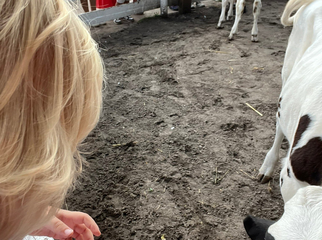 Parc de la Coccinelle-Gujan-Mestras必去景点