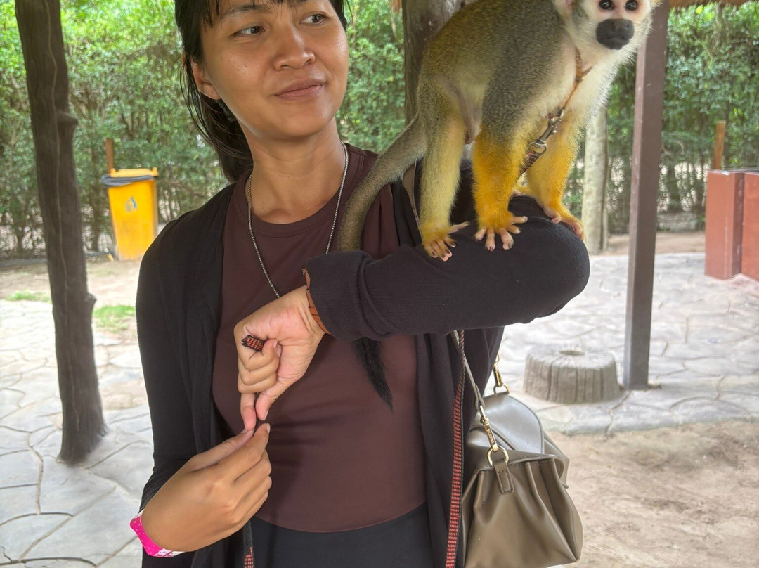 羊驼农场-愿拼县必去景点