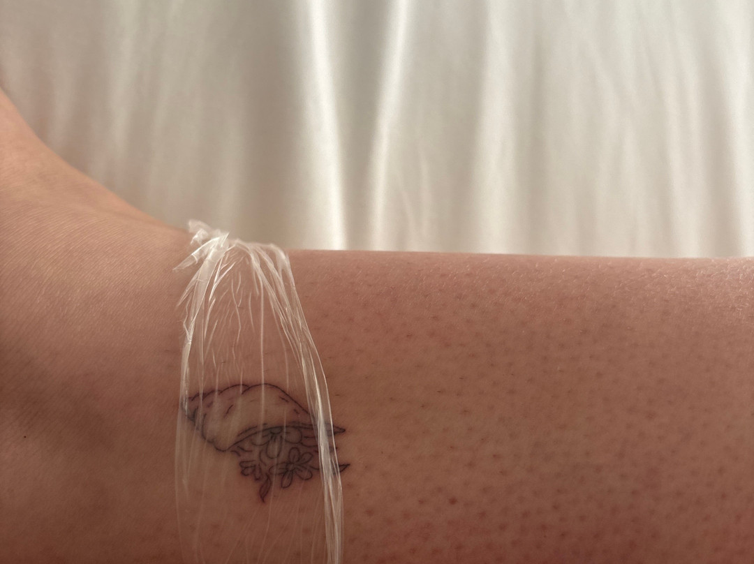 World Of Ink Ibiza-博萨海滩必去景点