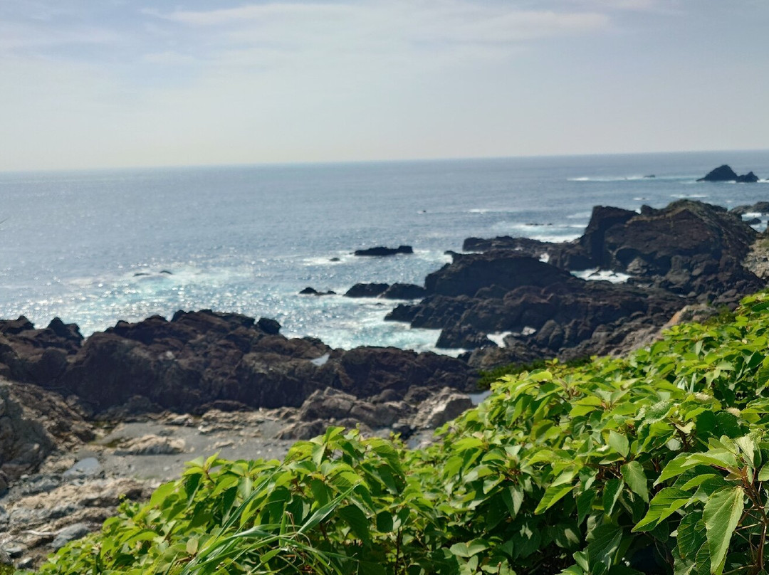 Cape Shionomisaki-串本町必去景点