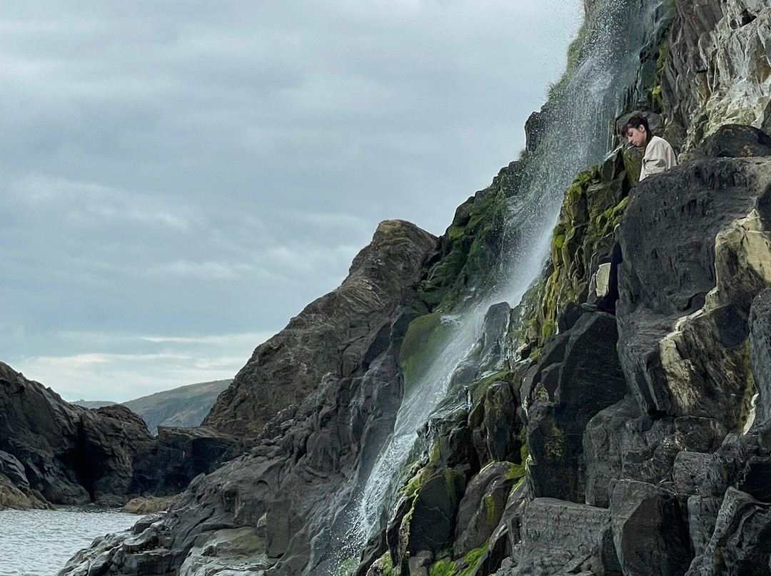 Nantgwynfaen Organic Farm主图