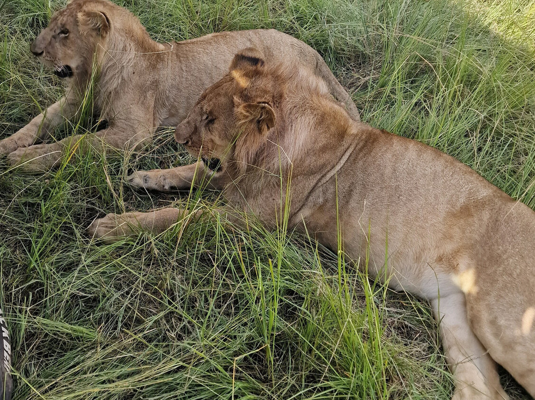 SunUp Adventures-内罗毕必去景点