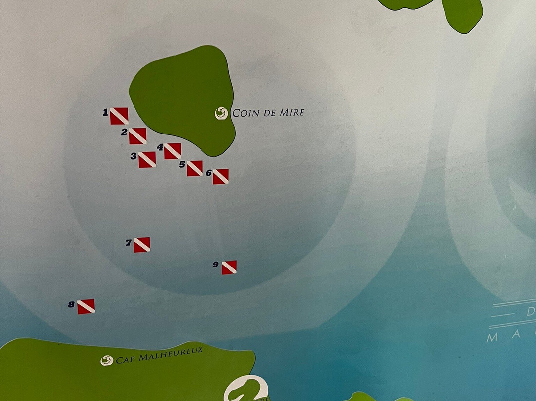 Dodo Divers Mauritius-卡罗迪勒必去景点