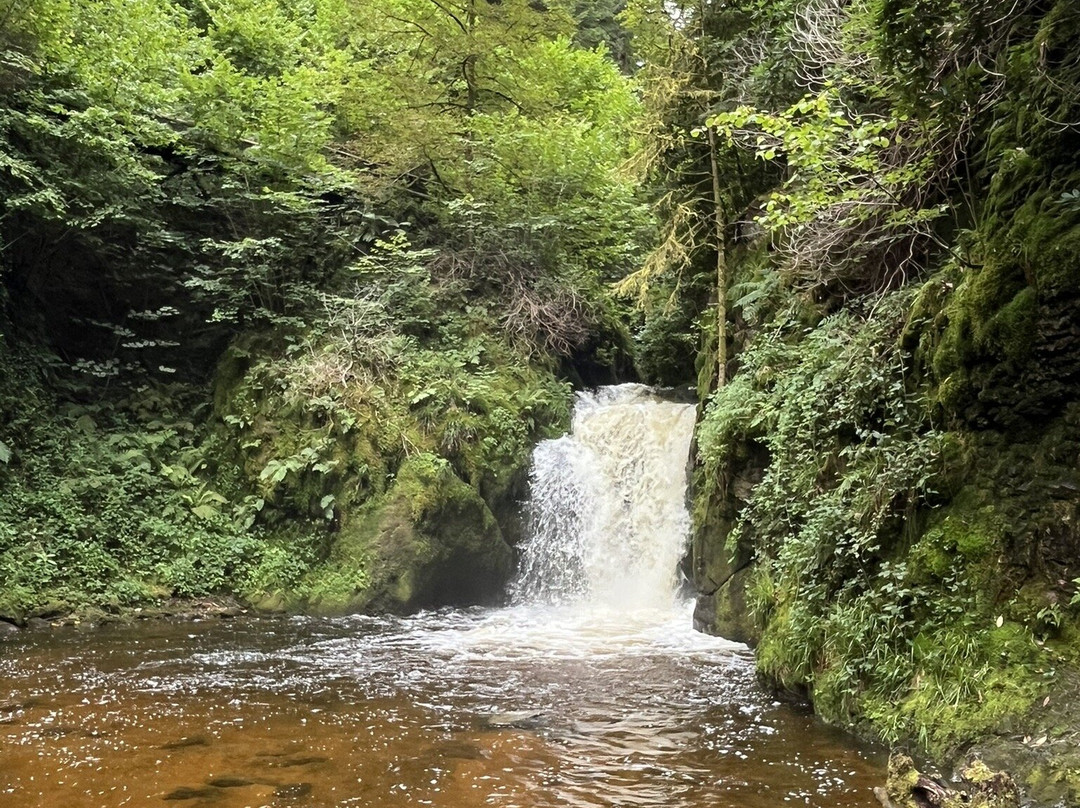 Geroldsau Waterfall-巴登巴登必去景点
