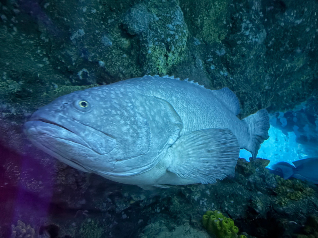 SEA LIFE Speyer-施派尔必去景点