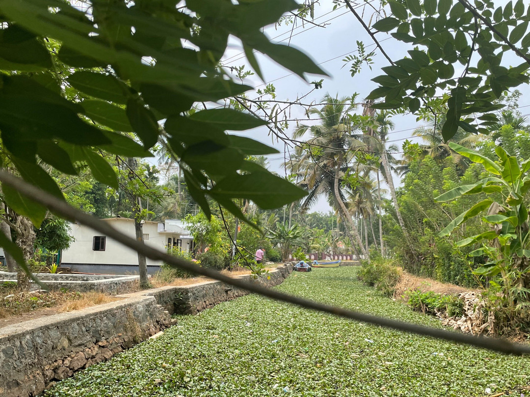 Fantastic Boat Cruise-Pallathuruthy必去景点