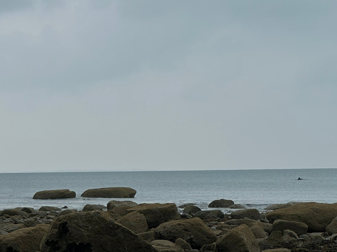 Criccieth Beach-Criccieth必去景点