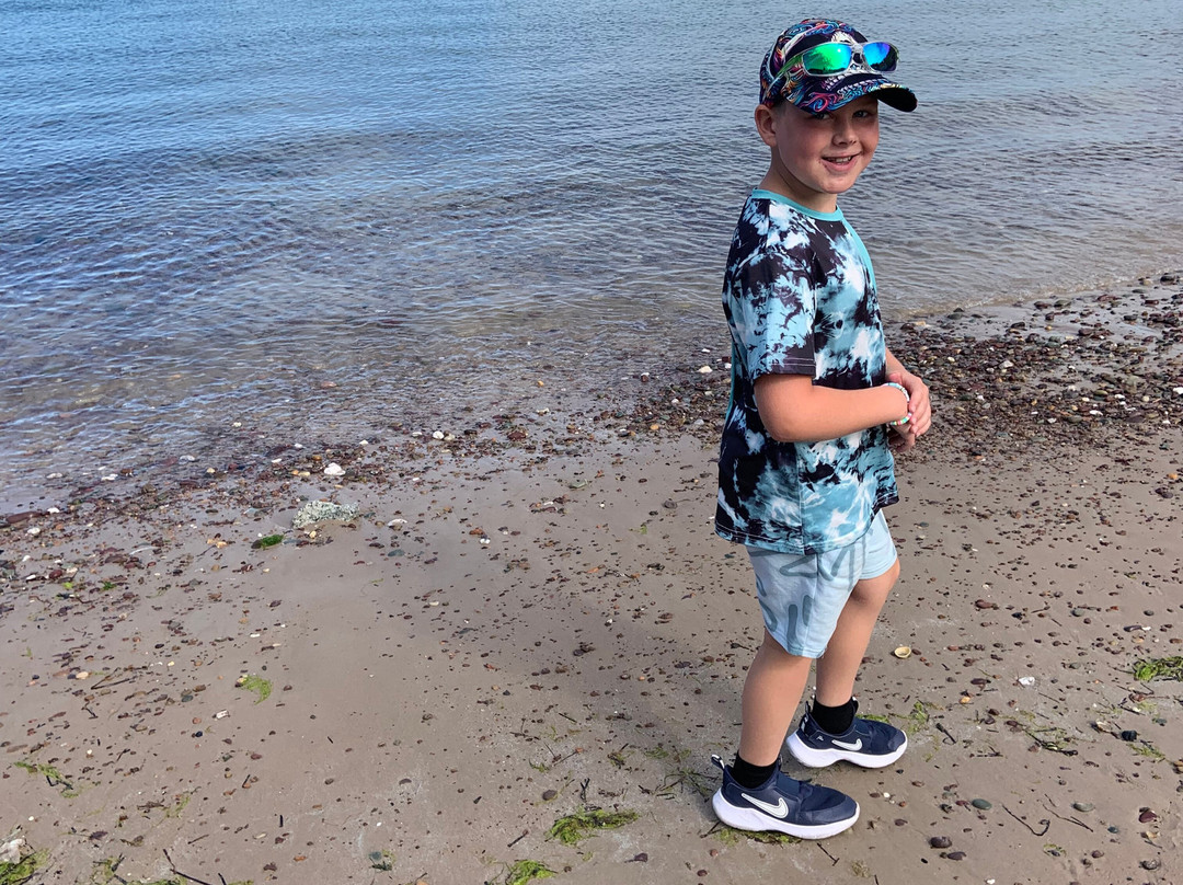 Anne Port Beach-Gorey必去景点