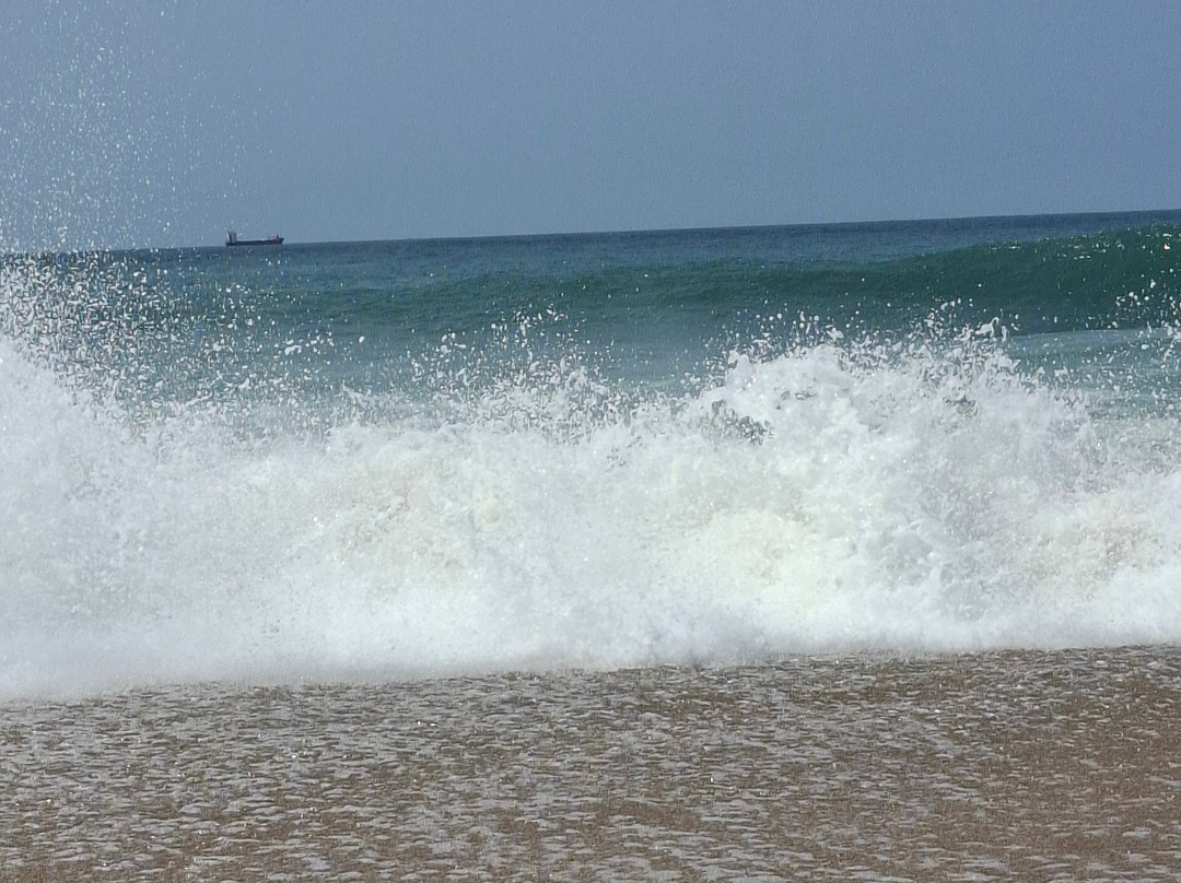 Beach of Tarnos-Tarnos必去景点