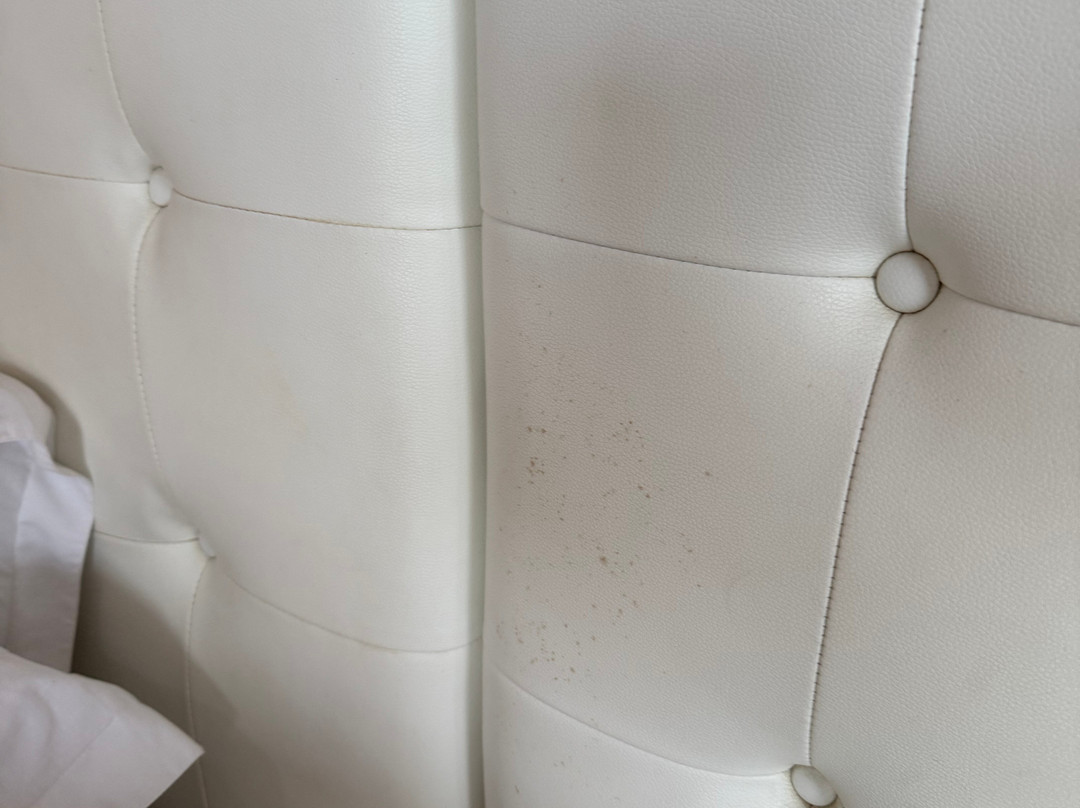 Vilu Thari Inn Maldives主图