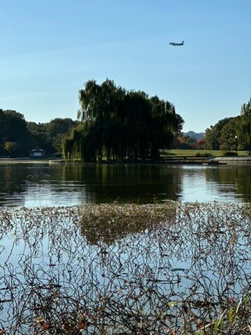 宪法花园-华盛顿特区必去景点