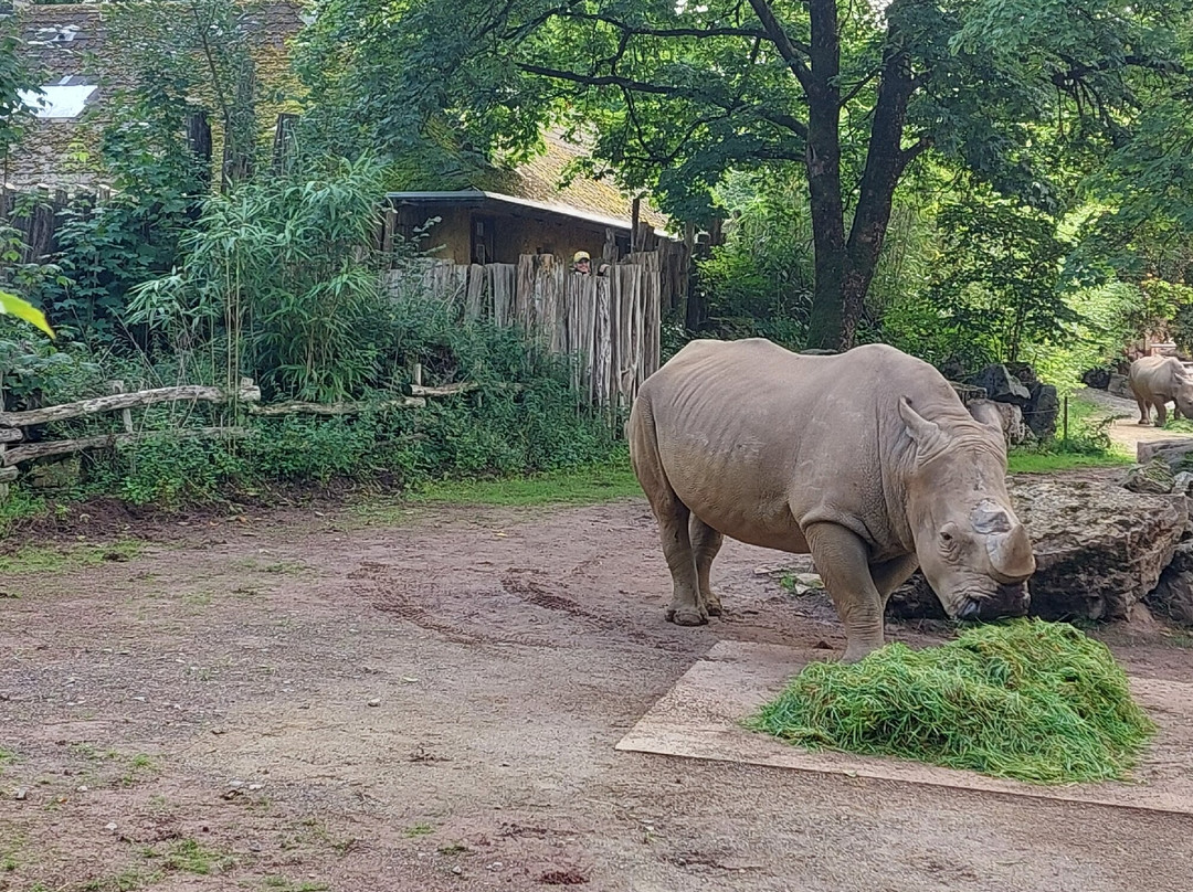 Zoo Osnabrück-奥斯纳布吕克必去景点