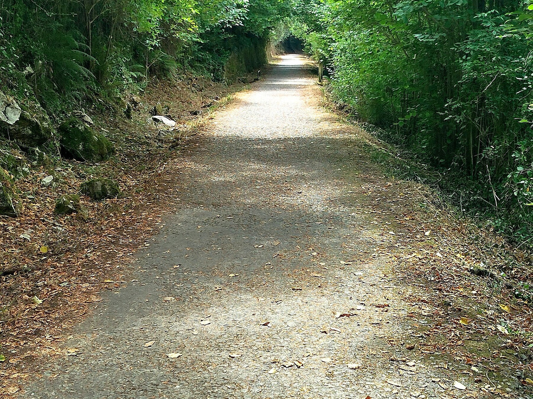 Senda del Oso-阿斯杜里亚必去景点
