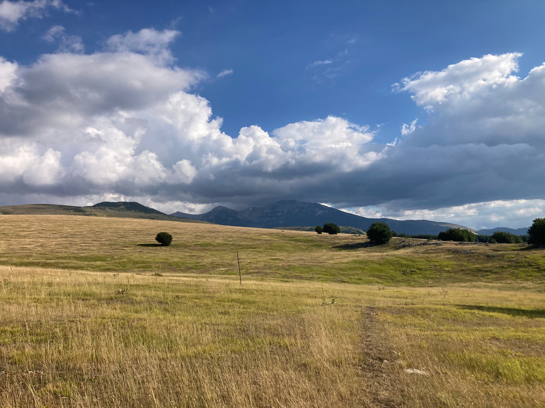 Grand Hotel Panorama主图