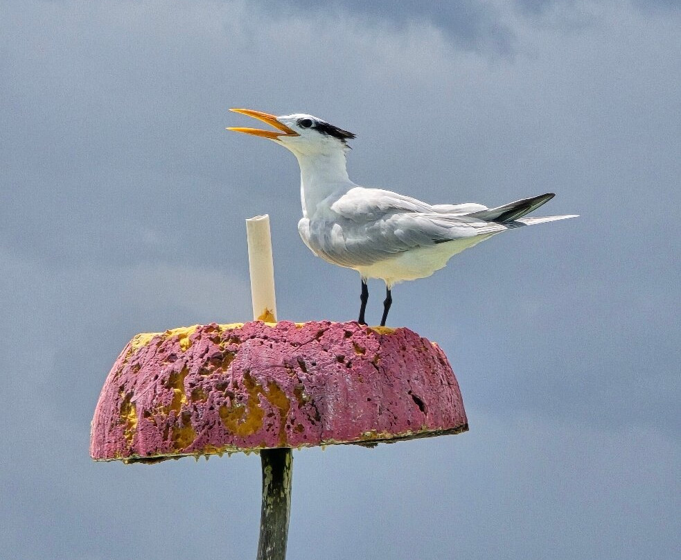 Visit Sian Ka'an-图伦必去景点