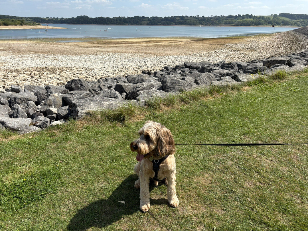 Carsington Water-阿什伯恩必去景点