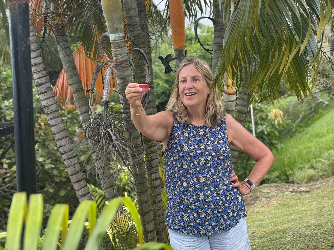 CP's Tours and Taxi Service-多巴哥必去景点