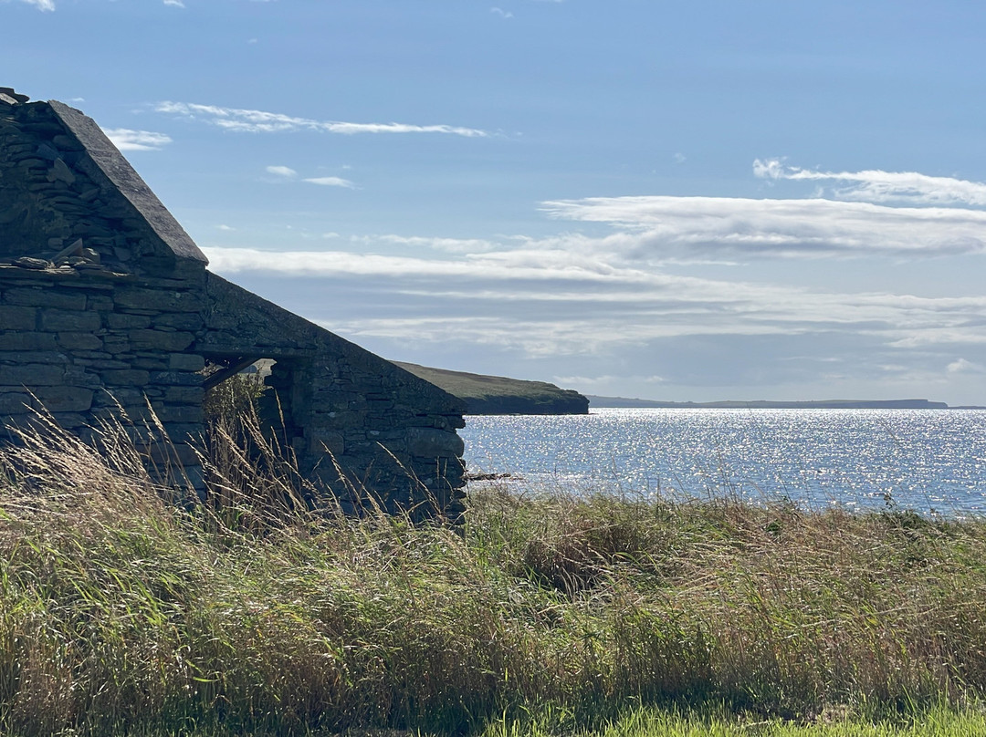 Wild Orkney Walks-Stromness必去景点