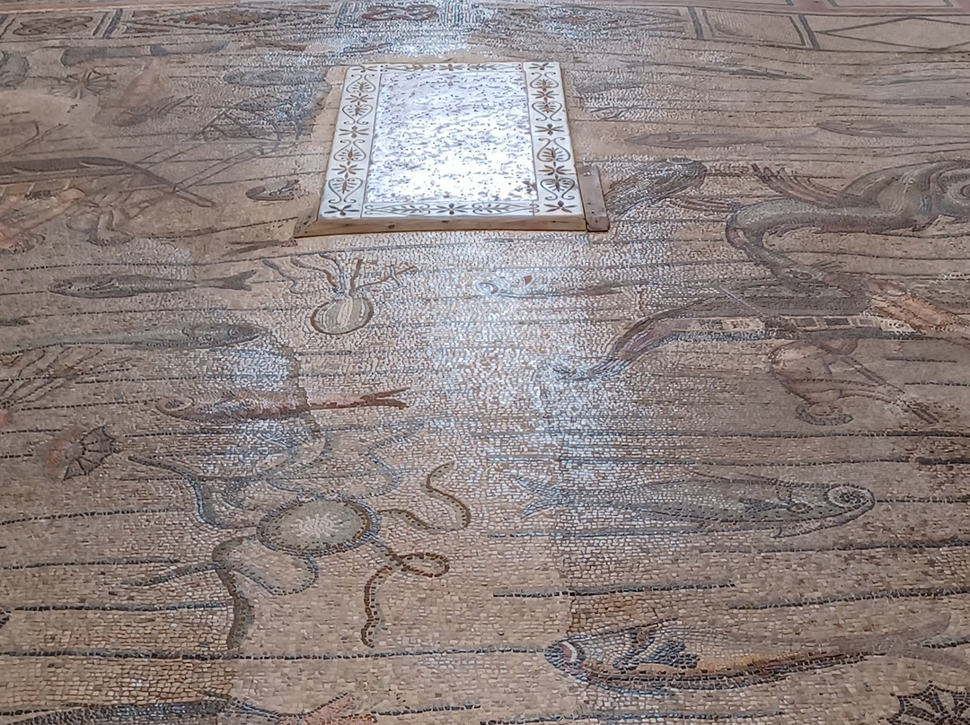 Basilica di Aquileia-阿奎拉必去景点