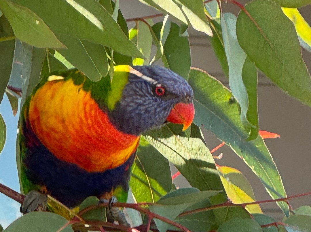 Metung Hot Springs-Metung必去景点