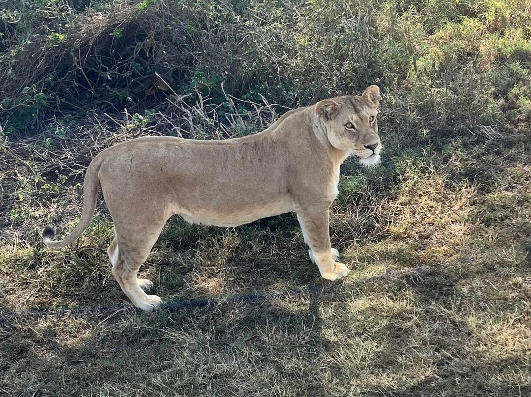 B2 Travel Group-纽约市必去景点