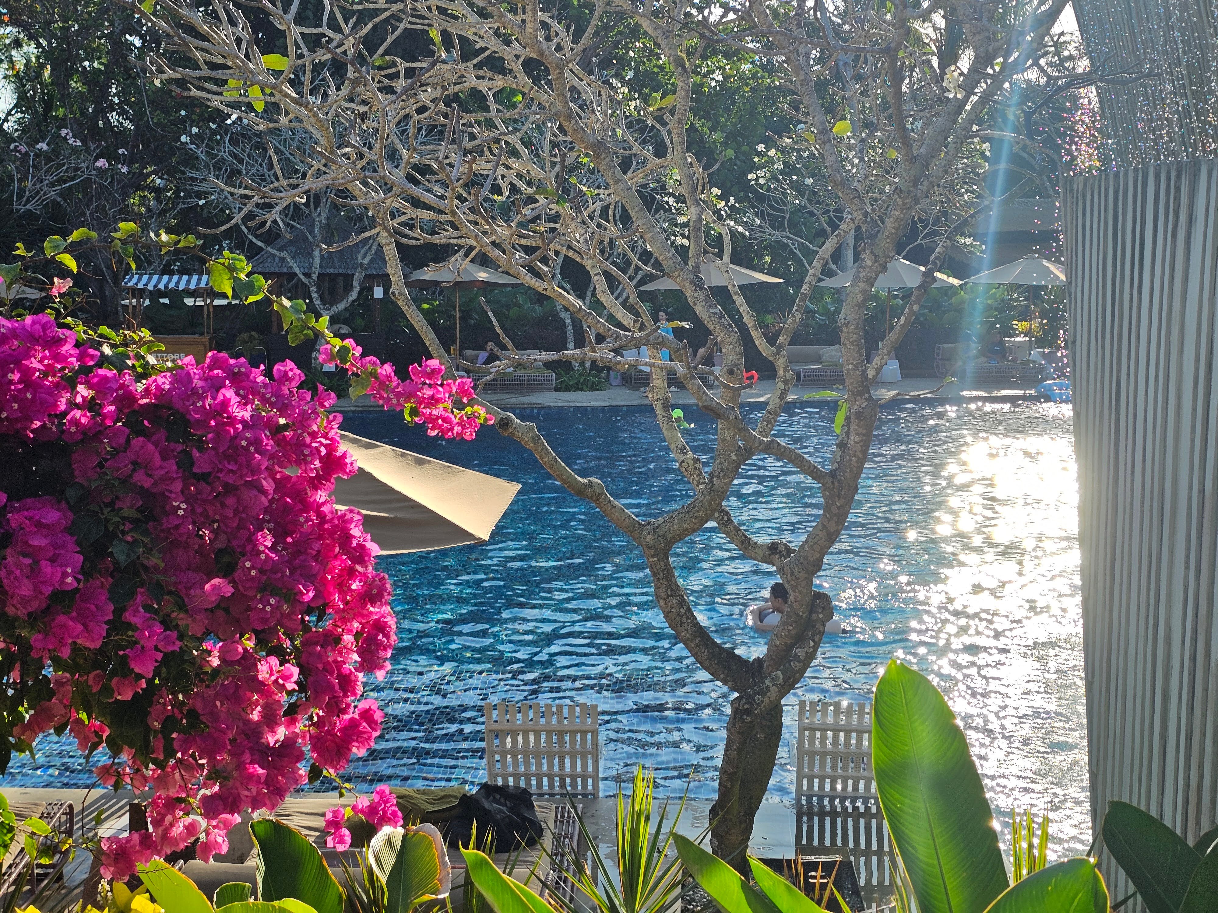 阿雅娜水疗度假酒店-泳池