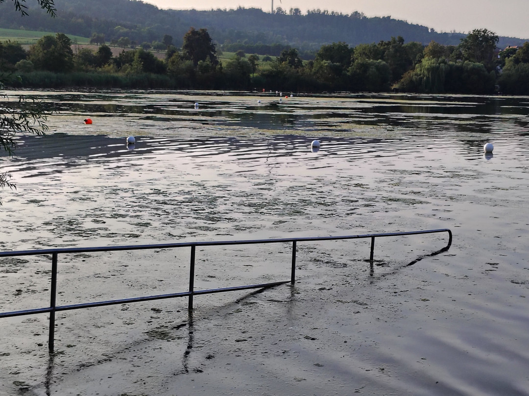 Starkholzbacher See-施韦比施哈尔必去景点