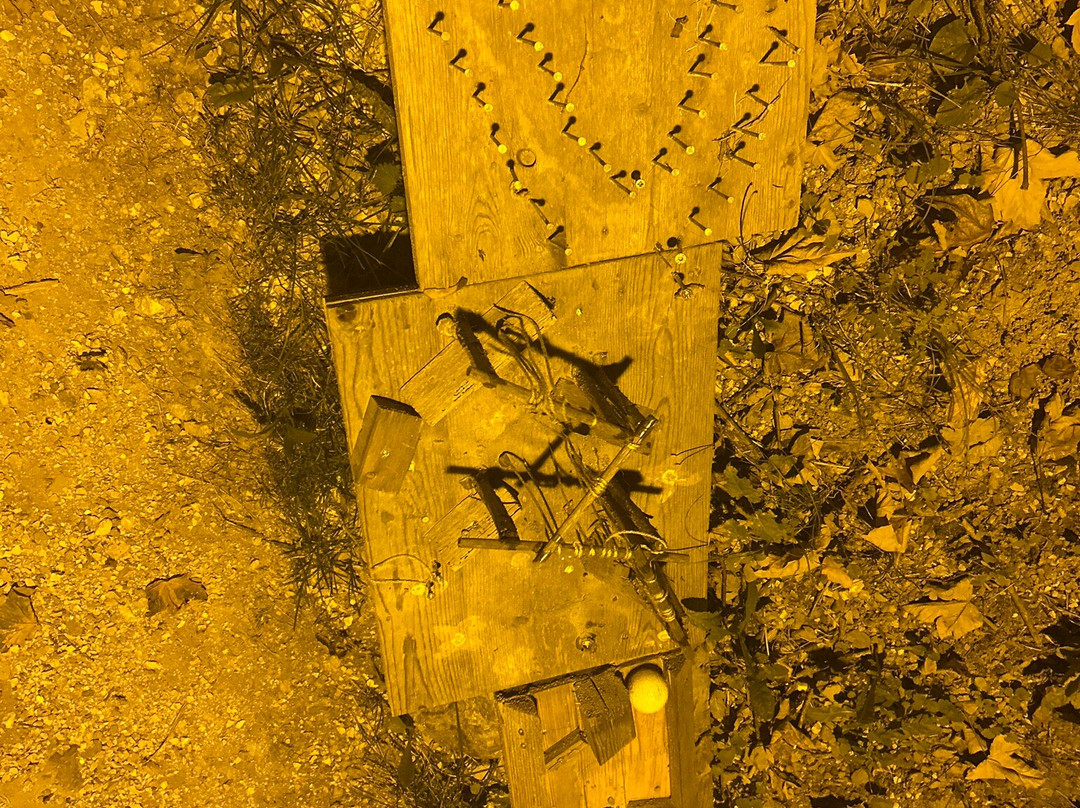 Kugelbahn Von Julius Und Valentina-采尔湖畔必去景点