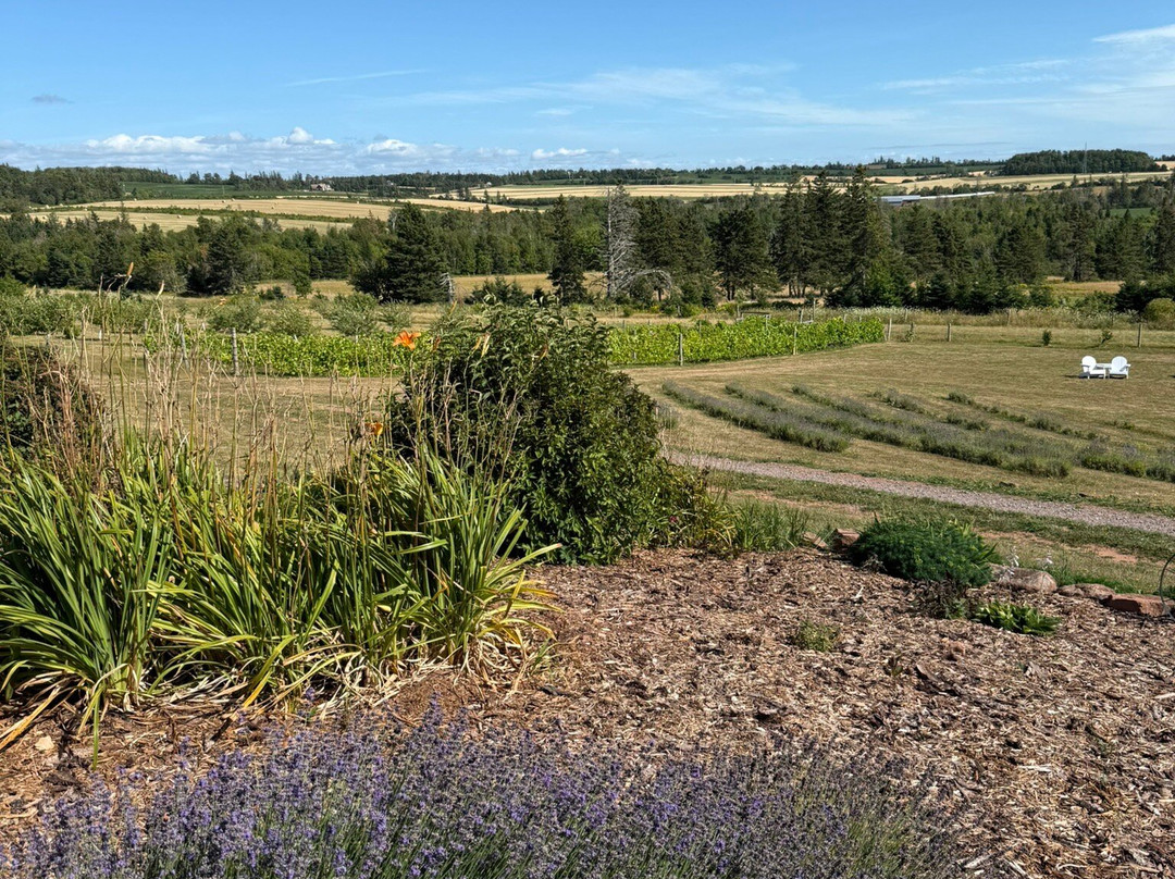 Island Honey Wine Company-Wheatley River必去景点