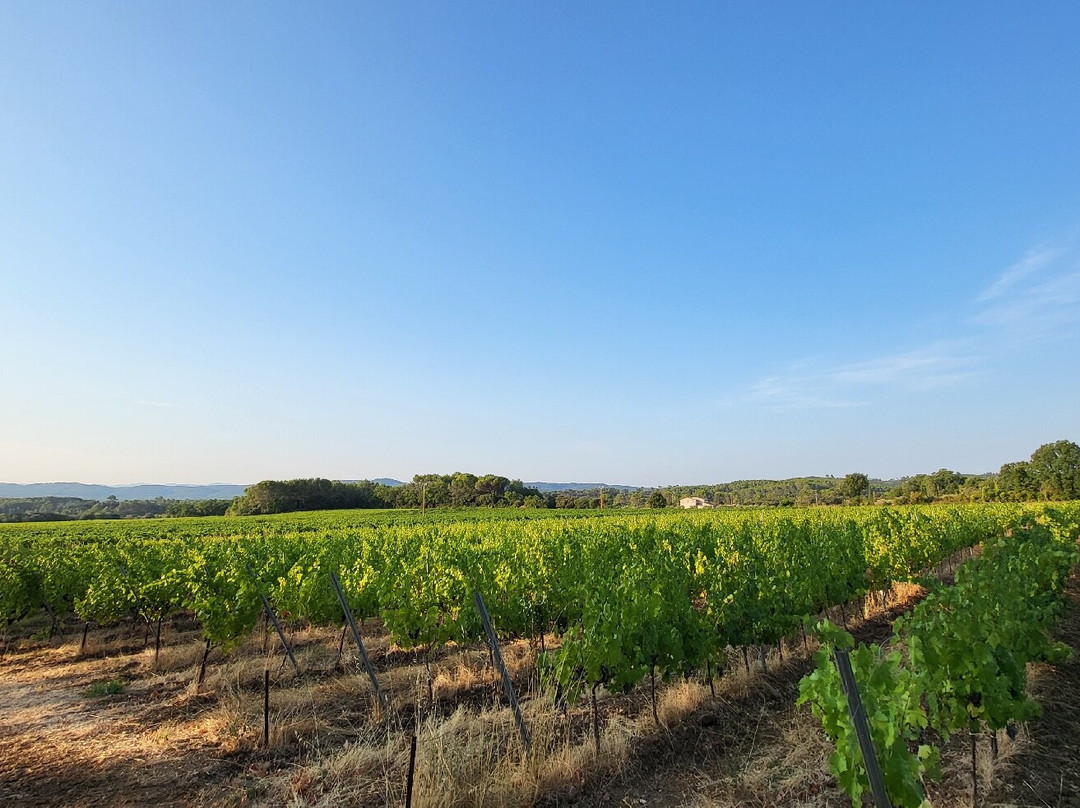 Chateau Nestuby主图