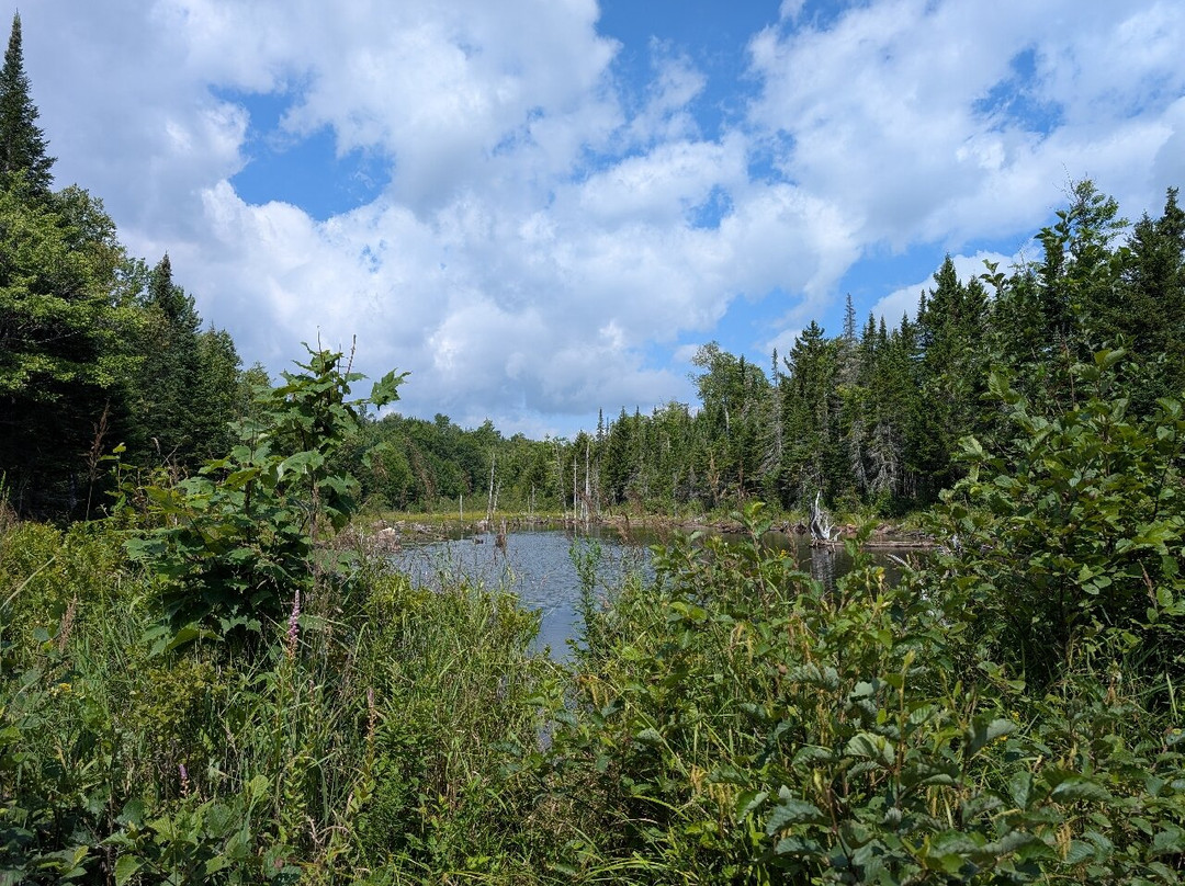 Northeast Snowmobile & ATV Rentals-Gorham必去景点