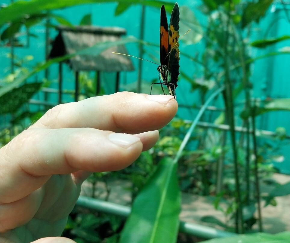 Centro Urku-Tarapoto必去景点