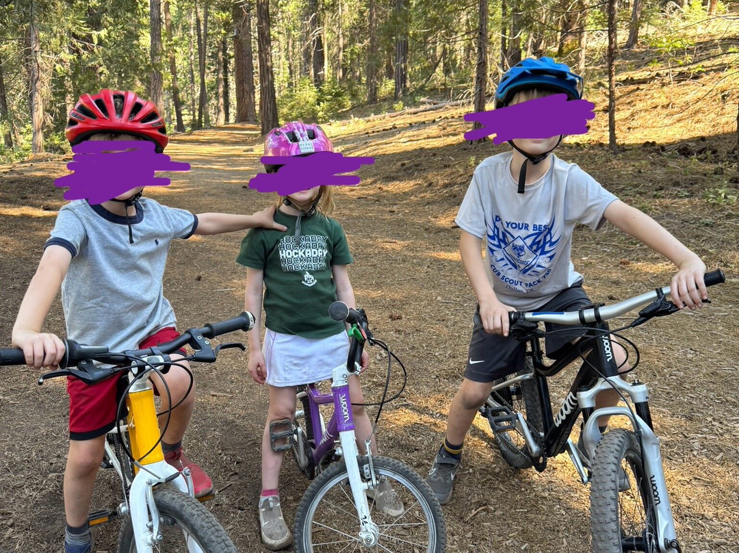 Pedal Forward Bikes & Adventure-Bass Lake必去景点