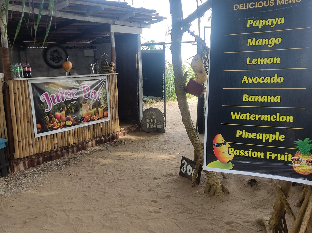Sea Turtle Farm Galle Mahamodara-加勒必去景点