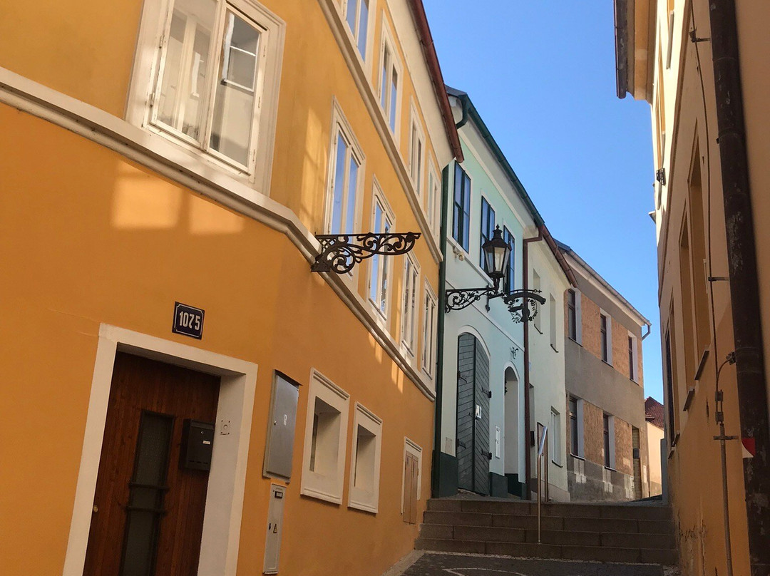 Kostel Narození Panny Marie-Roudnice nad Labem必去景点