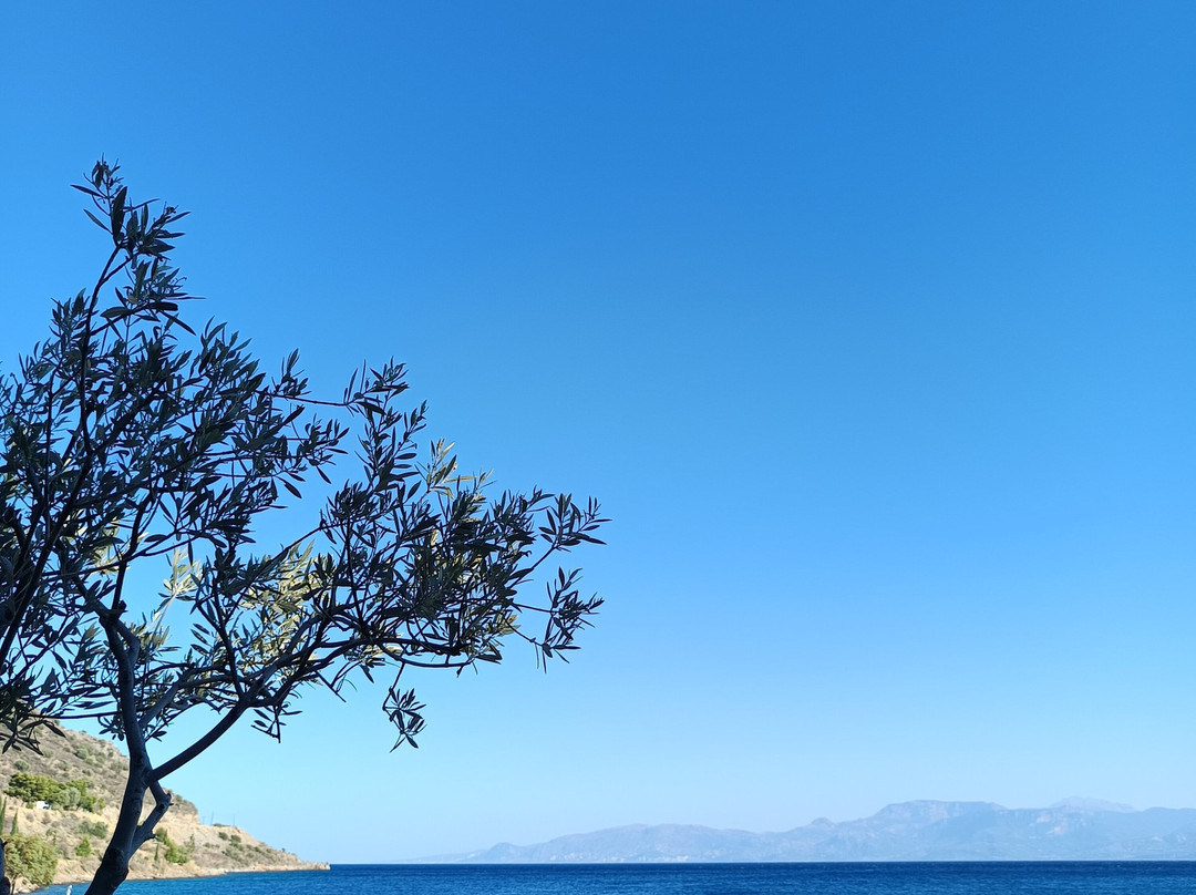 Paradisos Hotel主图