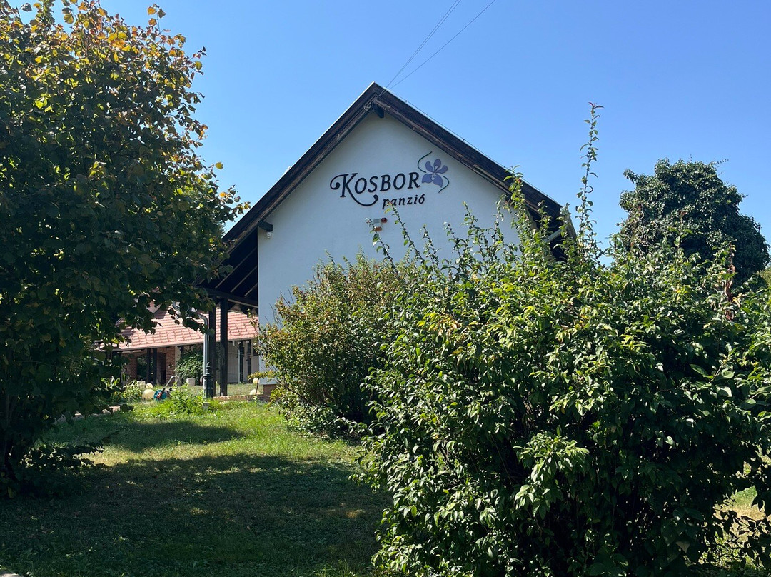 Kosbor Panzio主图