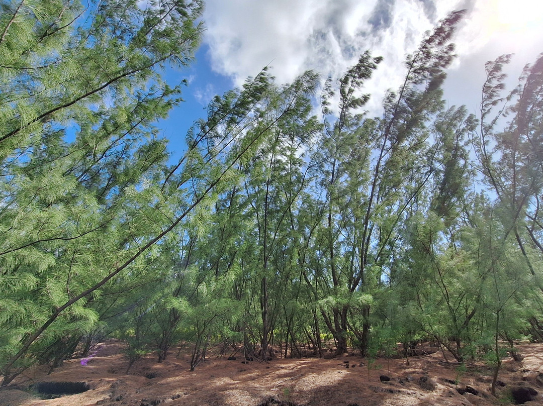 Puits Arabe-Saint-Philippe必去景点