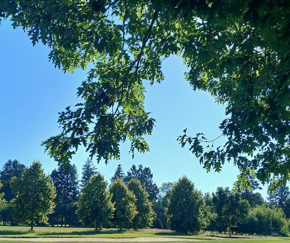 Schloss Ludersburg主图