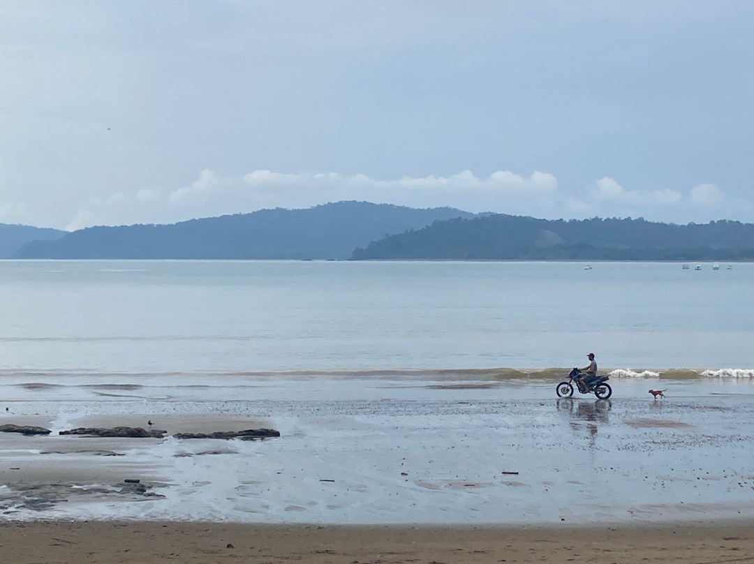 Bahia Drake-德雷克湾必去景点