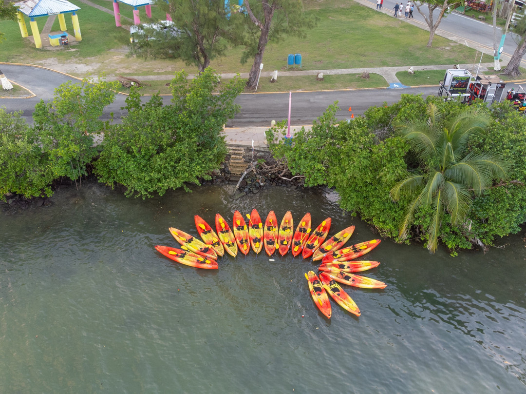 Puerto Rico Bio Bay Tours LLC-法哈多必去景点