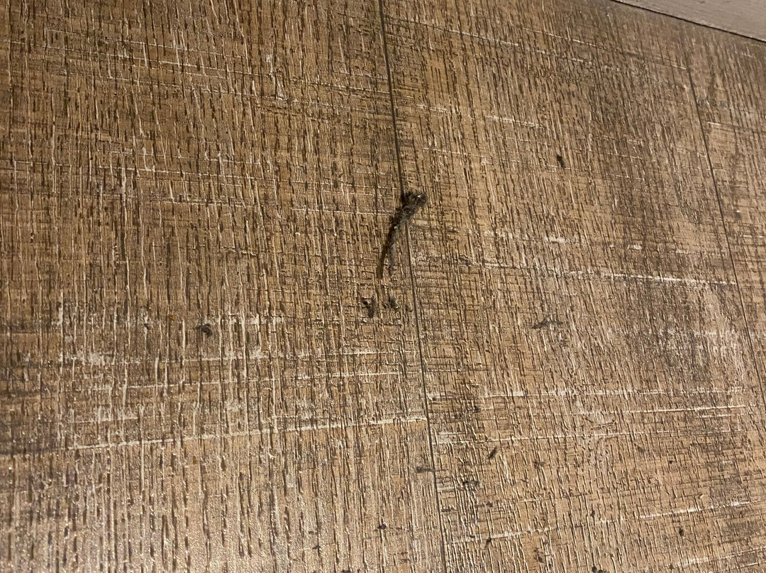 雷吉斯酒店主图
