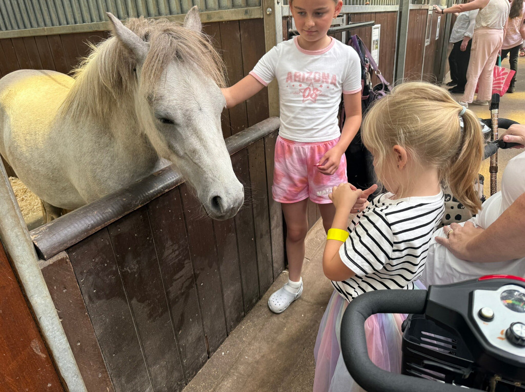 World Horse Welfare Penny Farm-黑潭必去景点