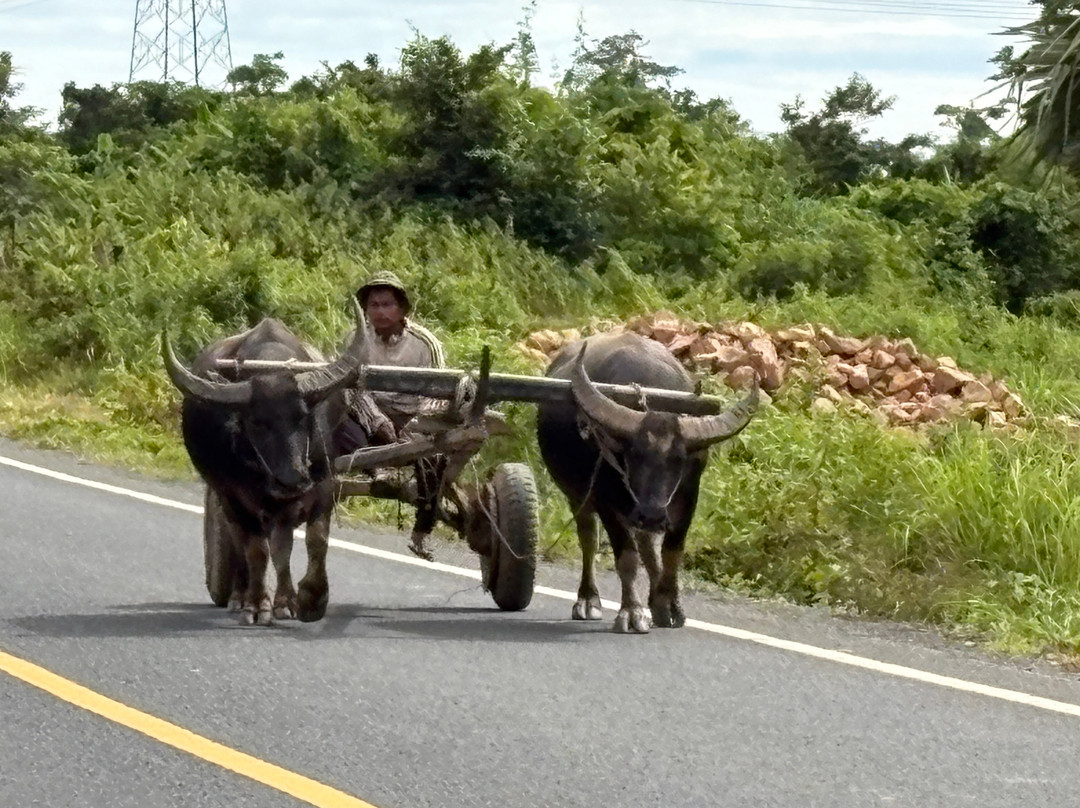 Great Escape Motorbike Tours-金边必去景点