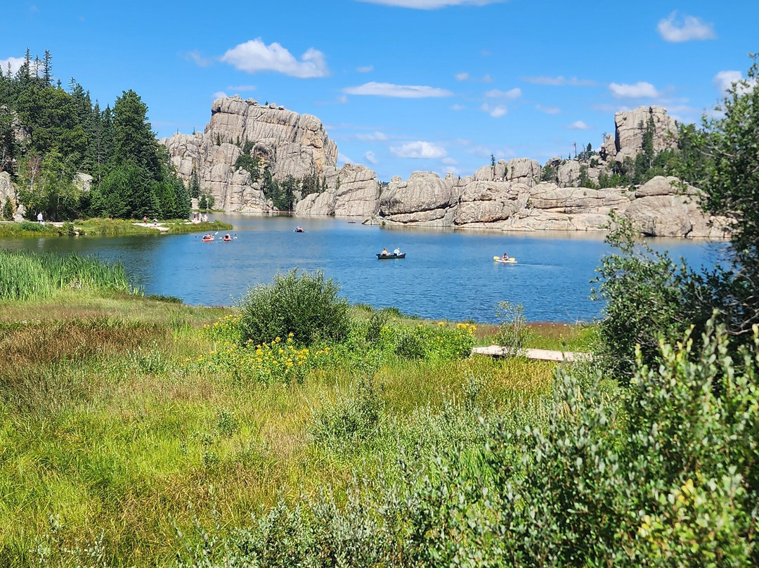 Black Hills Tour Company-拉皮德城必去景点