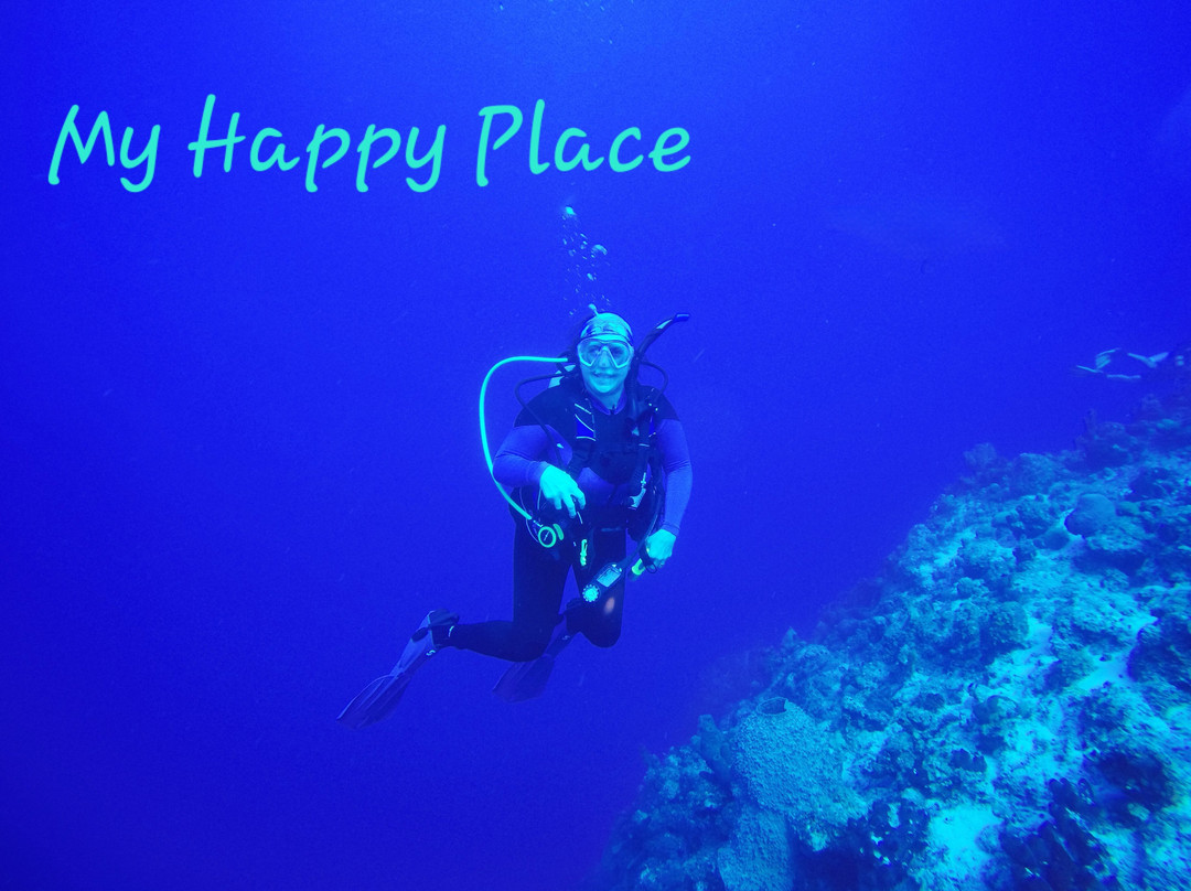 Aqua TCI-普罗维登西亚莱斯必去景点