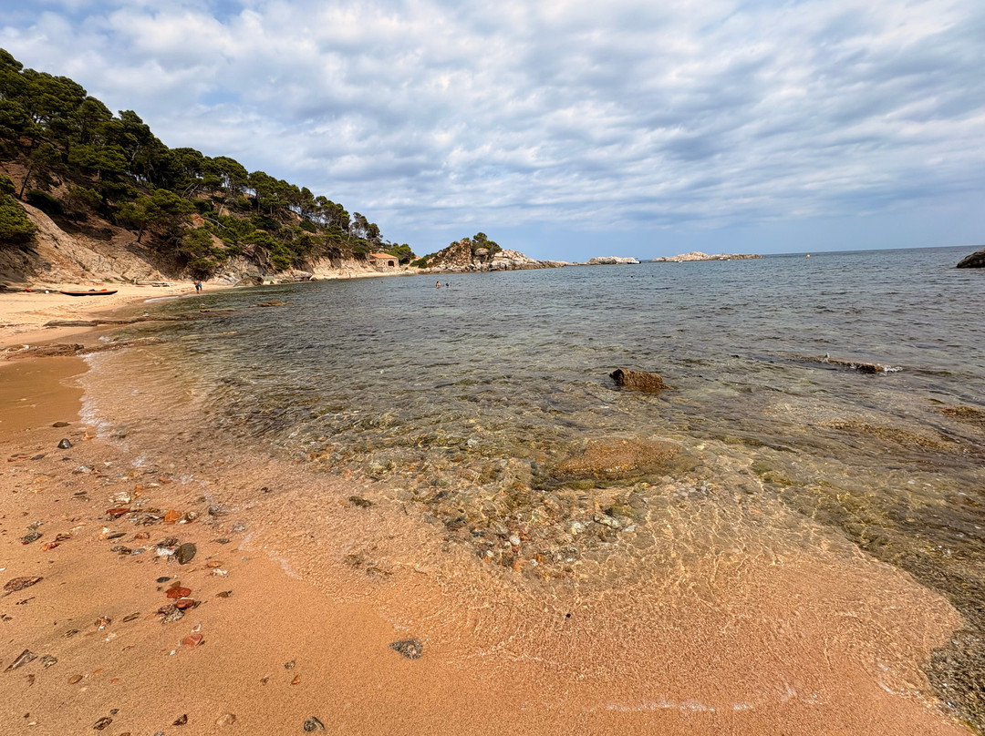 Cala Estreta-Palamos必去景点