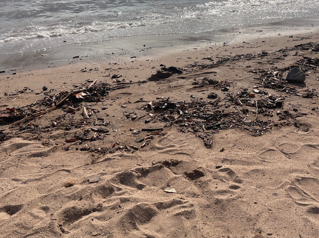 Plage de la Baumette-Agay必去景点