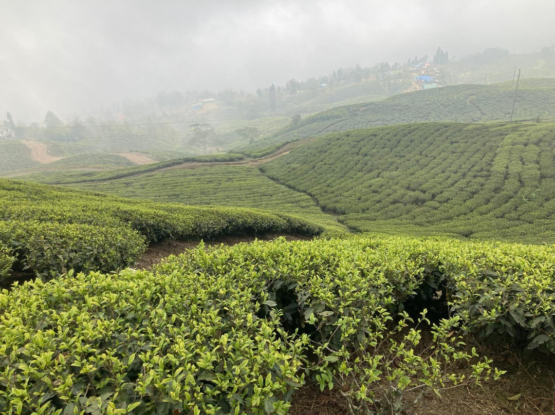 Sherpa Society Trekking-加德满都必去景点