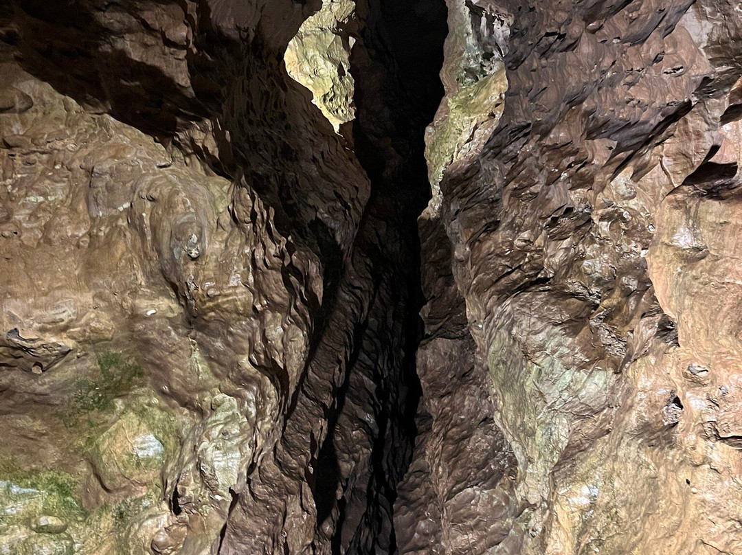 Abîme de Bramabiau-Camprieu必去景点